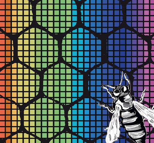 MFF2014 poster detail with bee