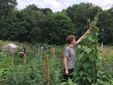 Joss Allen at allotment 